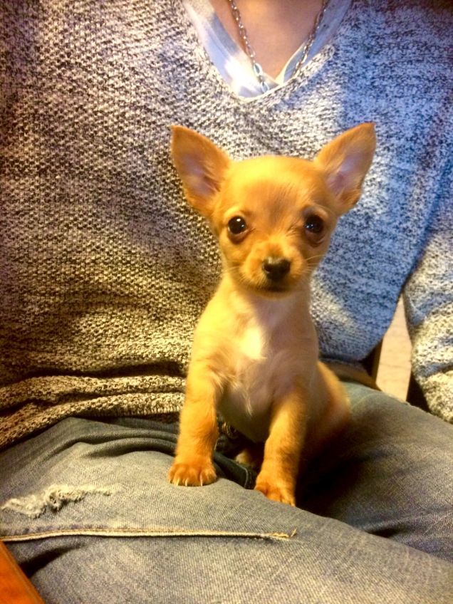 Mi piace farmi fotografare :)