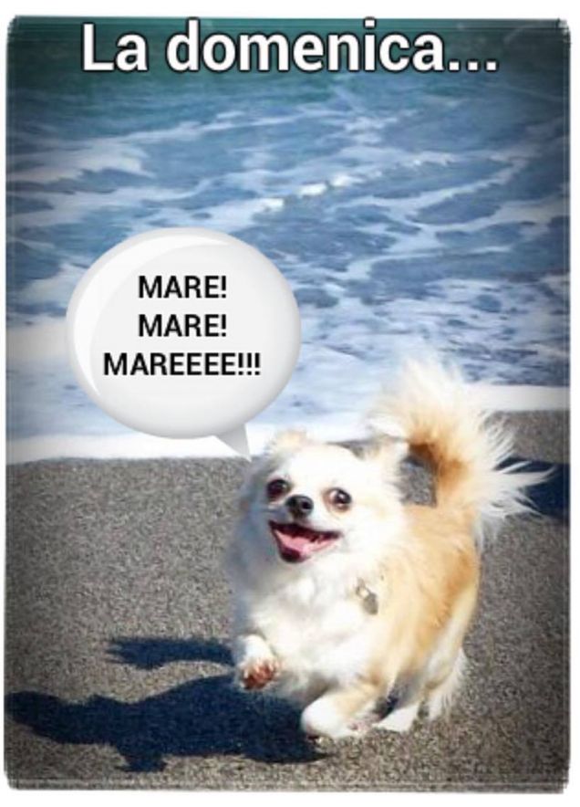 Ale ed il mare....che passione!