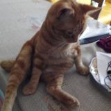 Posizioni strane ne abbiamo?