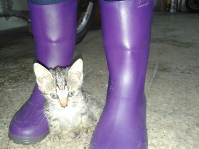 il primo selfie della nuova arrivata