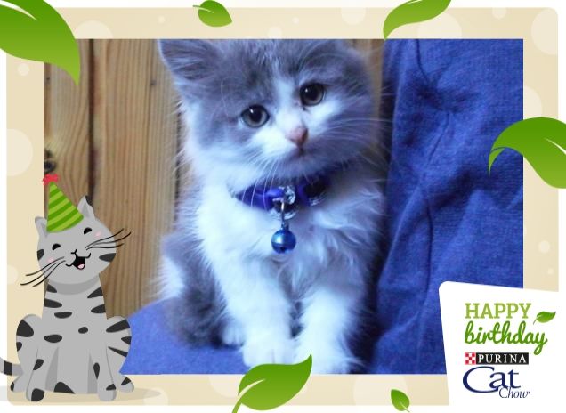 Tantissimi auguri dalla piccola Sheryl