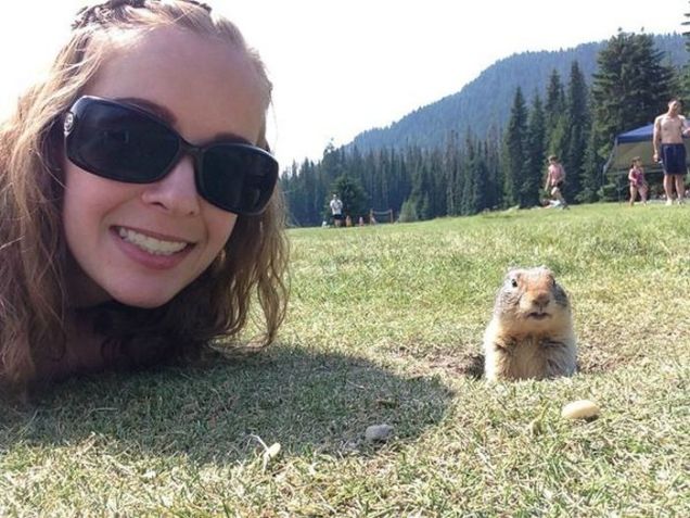 Io e la marmotta