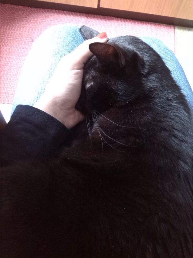 Perla che si lascia coccolare