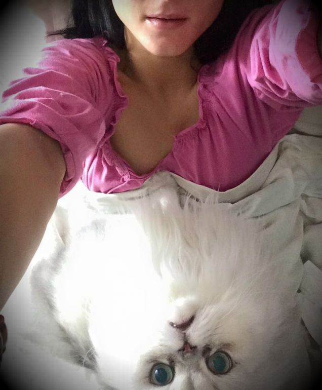 LA MIA GATTINA PUSSY ! 