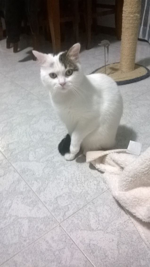 ma che ce l'hai con me?????