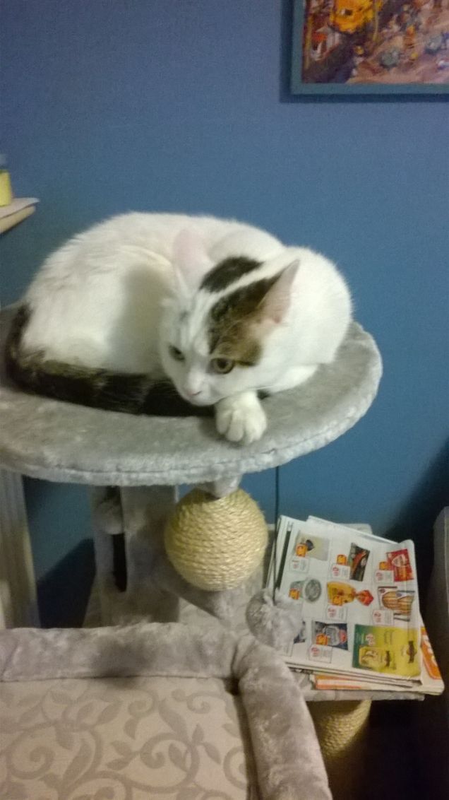 dolce far niente.....