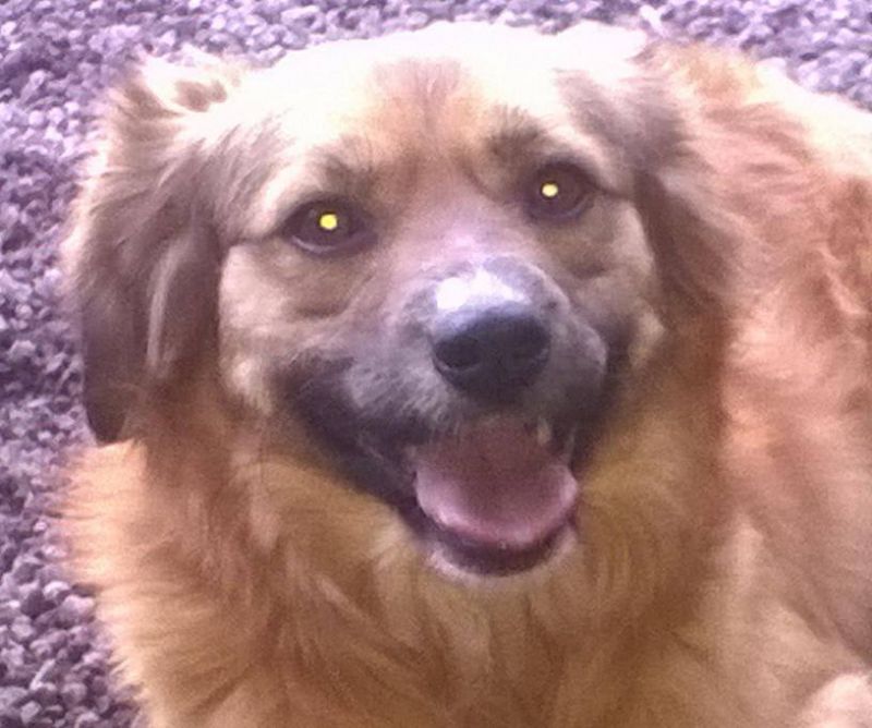 VOLATA SUL PONTE, KISMI 