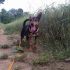 ADOTTATO: BOBI 
