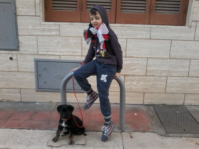 Harryi l mio cucciolo tuo tenero