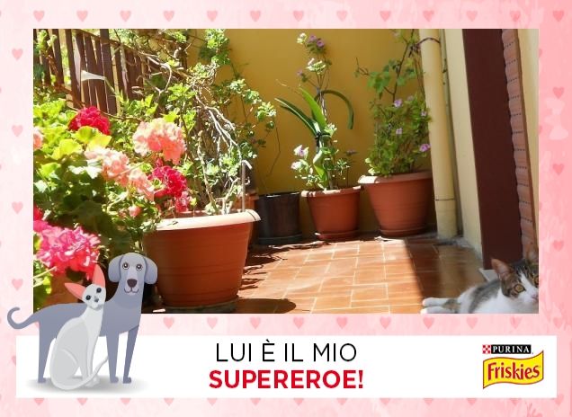 accoccolata nei fiori