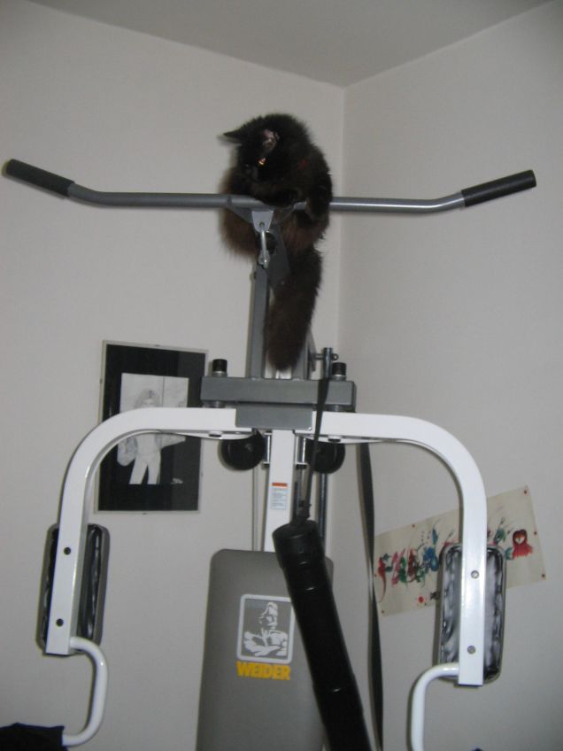 Il mantenersi in forma di Milù 