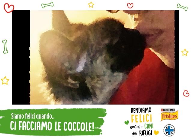 Un bacio gattoso