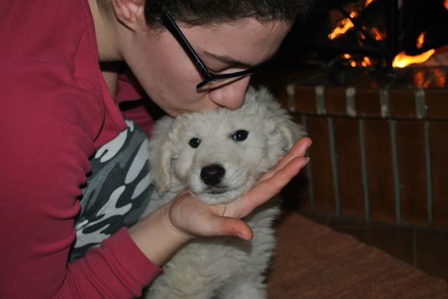 Leo..ncino,  cucciolino adorato!