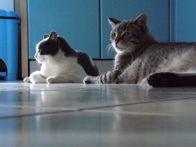 mia & biagio... come fratelli...