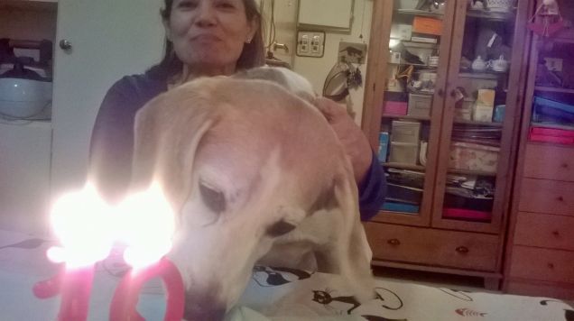 Pepè il MANGIATORTA