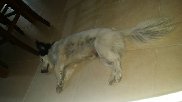 Facciano un pisolino?