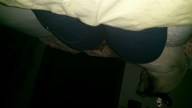 Lui la sera è con me sul letto 