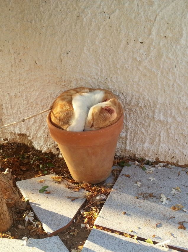 MODI DI DORMIRE.....