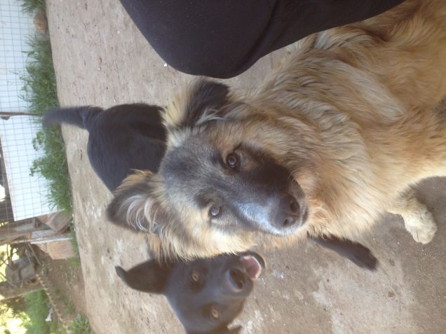 PAZZI PER I SELFIE ^_^