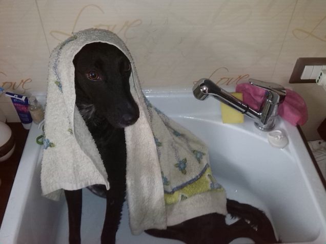 Un selfie dopo il bagnetto ^_^