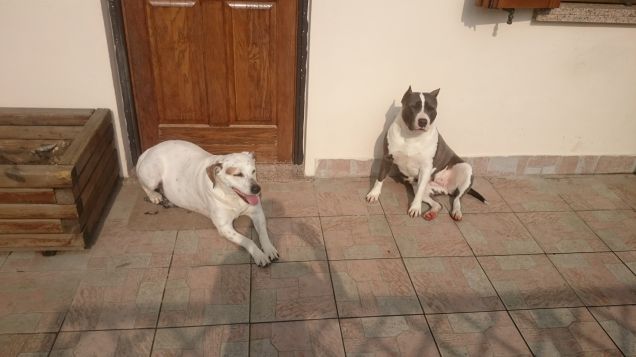 Noi prendiamo il sole