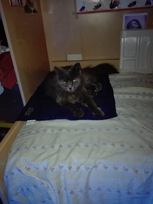 Minny sulla copertina