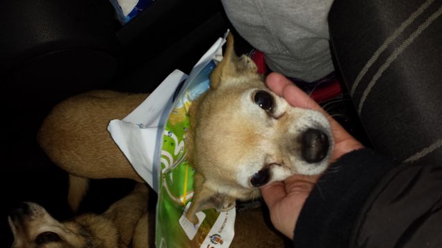 Tinky ed il para - pioggia fai da me