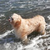 Mare che passione 