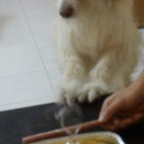 Milo 