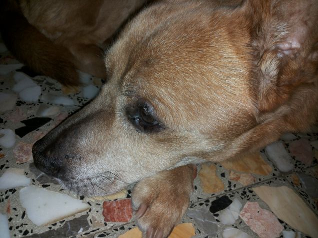 oggi sono pensieroso