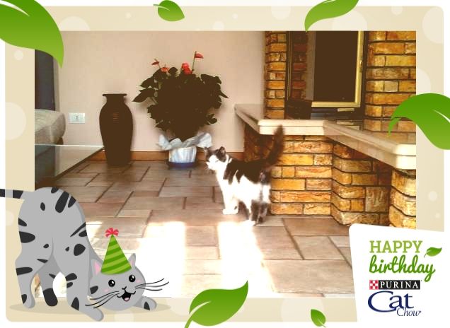 hallo19_11@hotmail.com