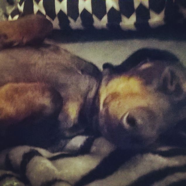 hero e le sue avventure 