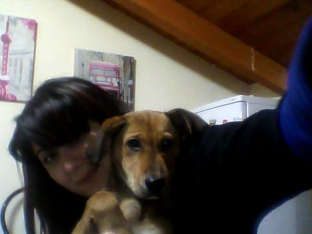 presentazioni ufficiali