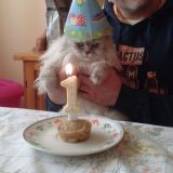 Romeo e il suo primo compleanno