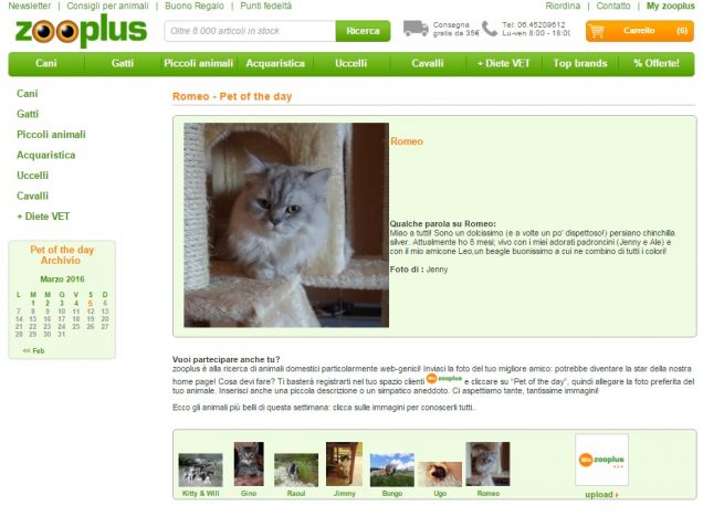 Romeo PET OF THE DAY su Zooplus
