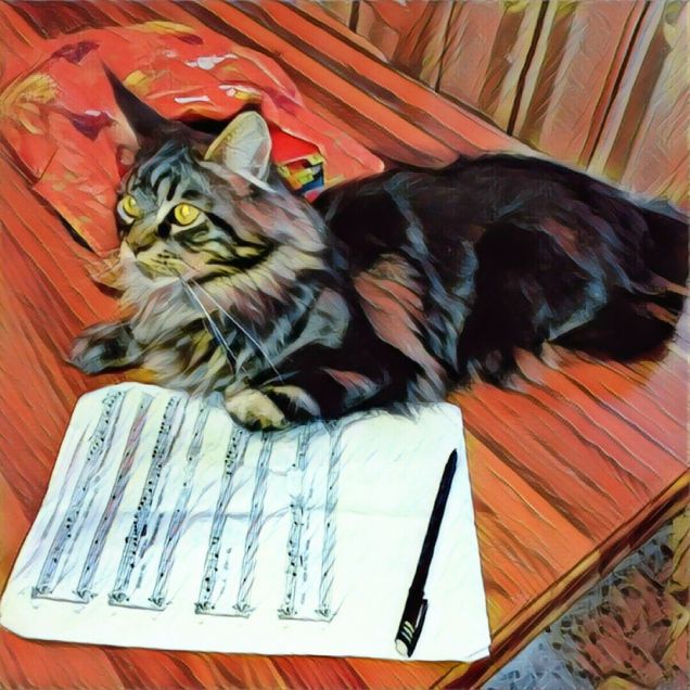 Maine Coon brown tabby versione prisma