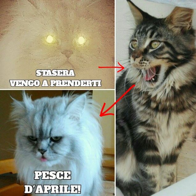 Buon primo di Aprile