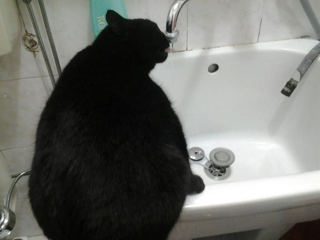 Rubinetti che passione 