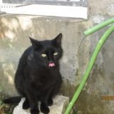 Carla
