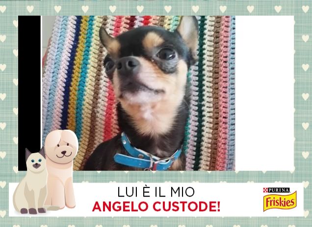 Il mio grande amore !