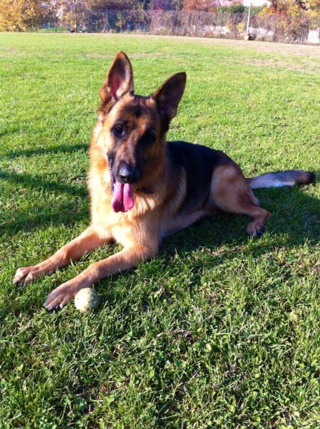 Amo correre e giocare