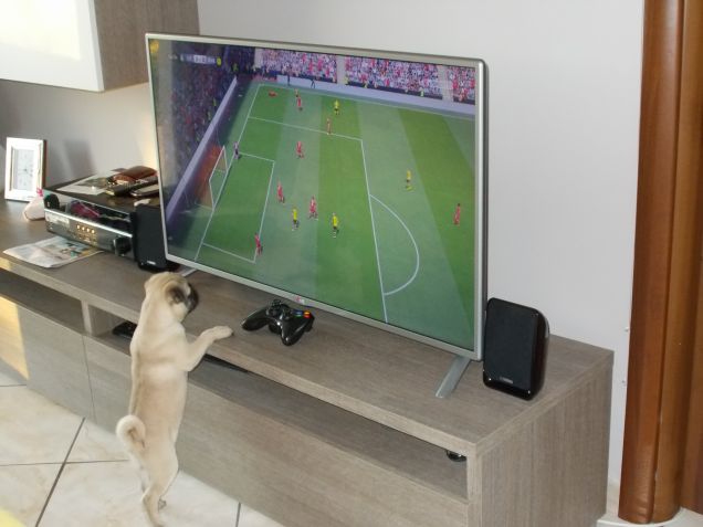 a tutta energia vuole fare il calciatore =)