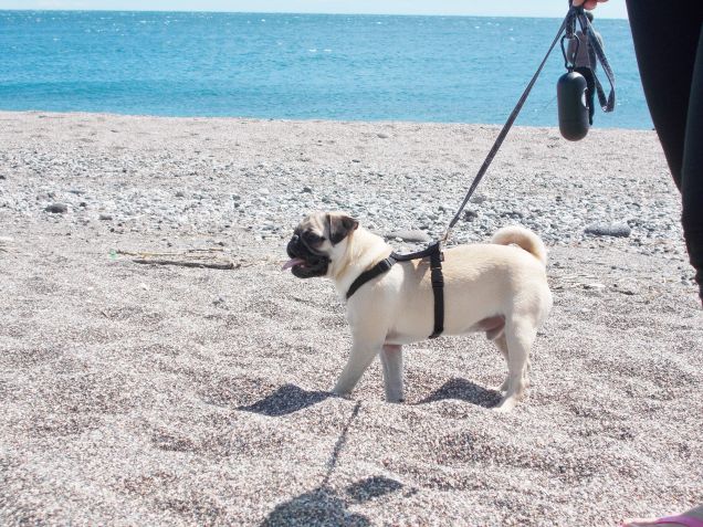al mare la sua prima volta