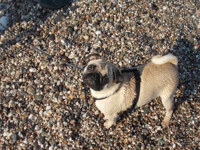 al mare tutto bagnato