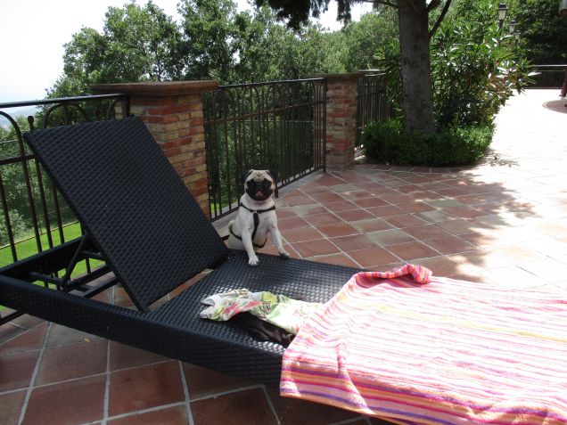 dove siete andati tutti?