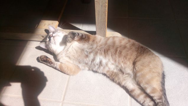 Il sole....mi piace!!!