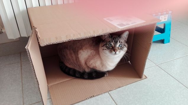 la mia scatola preferita.