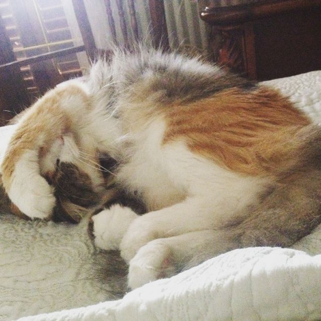 perchè Milly è la mia ombra! 