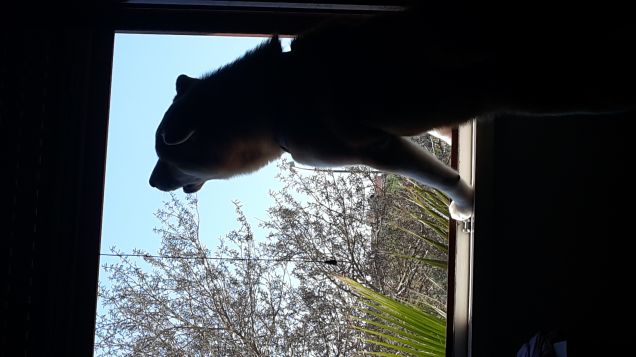 qua ululiamo al sole..altro ke la luna..oramai è fuori moda la luna