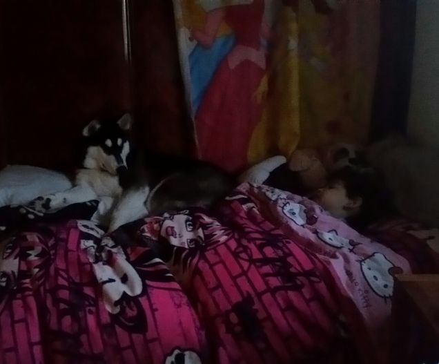 Troviamo L'intrusione......